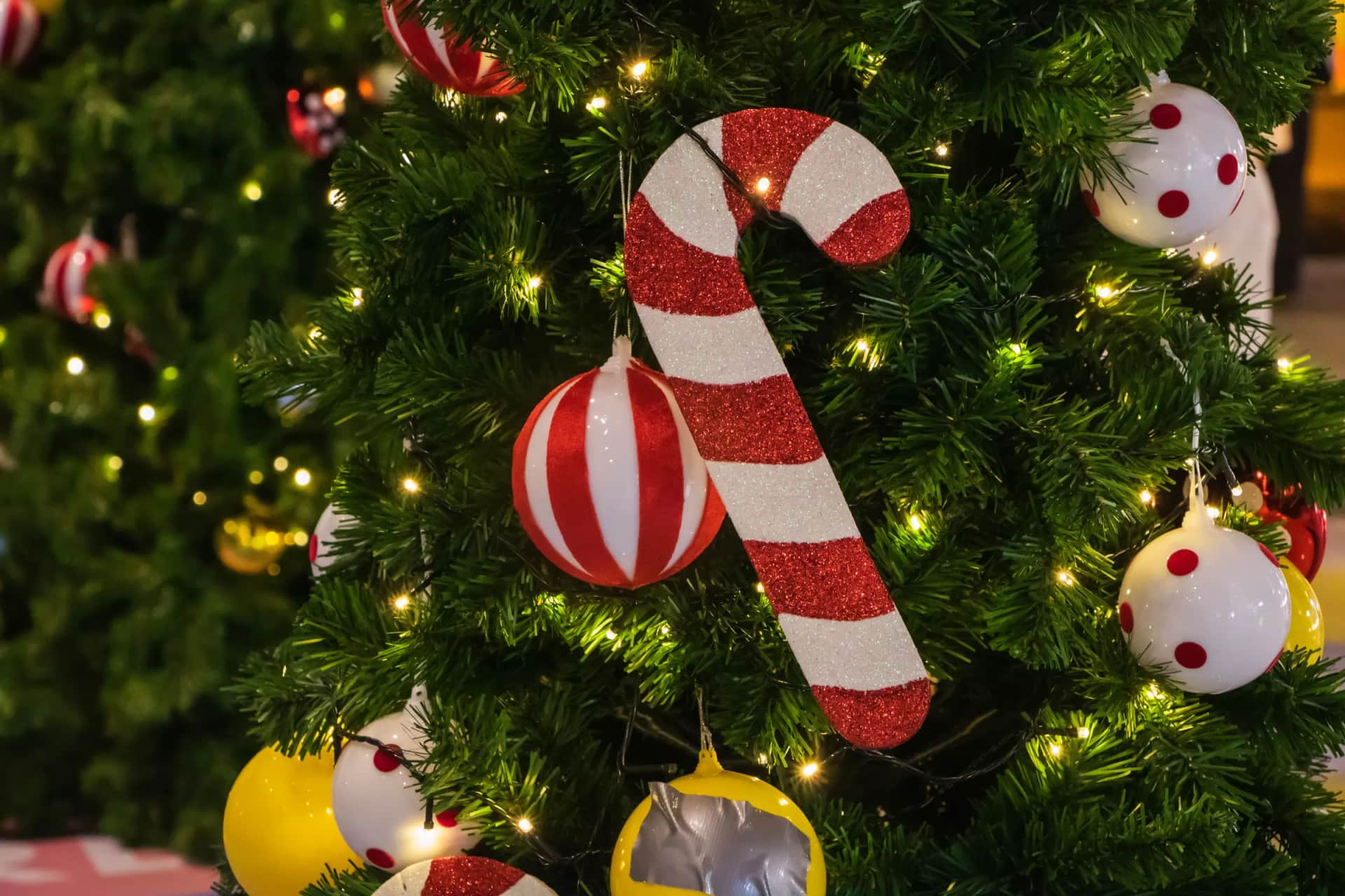 Candy cane and baubles on a decorated Christmas tree